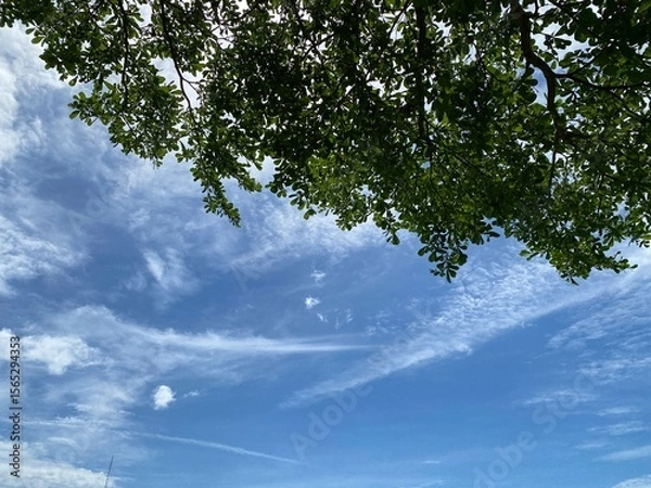 Obraz sky and clouds