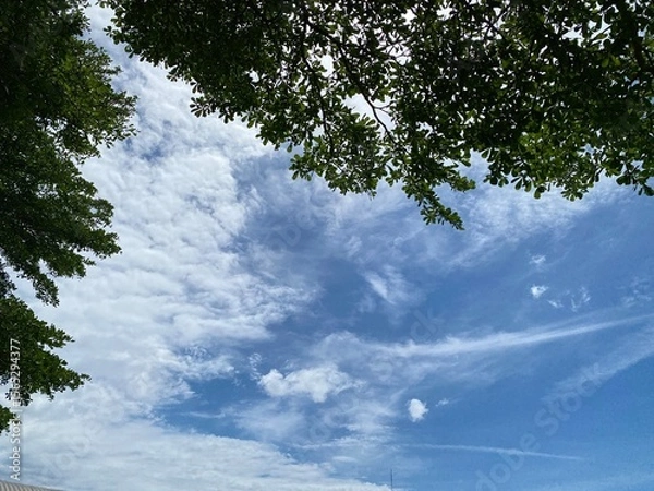 Obraz sky and clouds