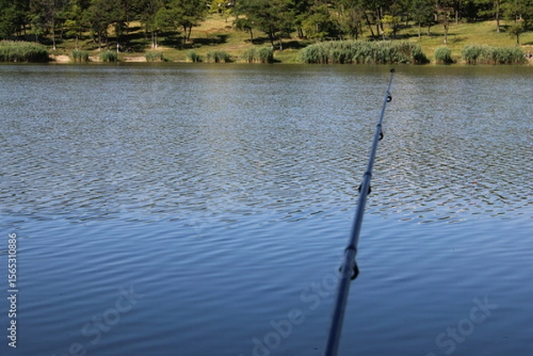 Obraz Fishing rod and floater on a calm lake with trees.