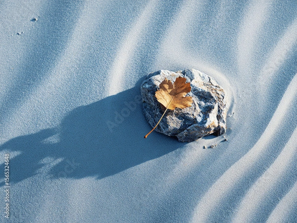 Fototapeta A solitary stone with a leaf in gentle sand waves.