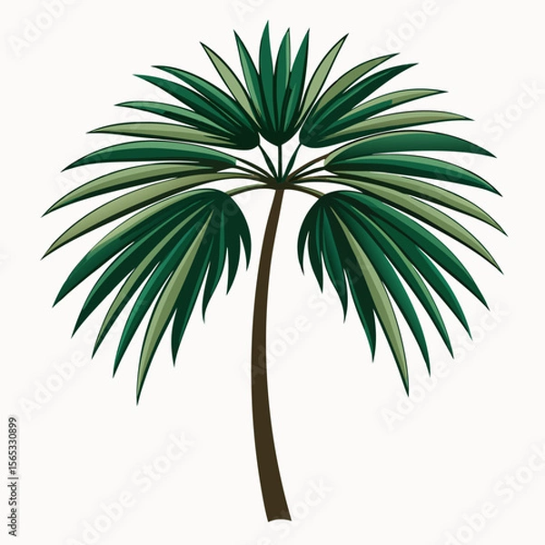 Obraz PLAM TREE VACTOR ART