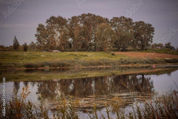 Fototapeta A beautiful river in a city area with aquatic plants, canes, reeds and trees on the shore