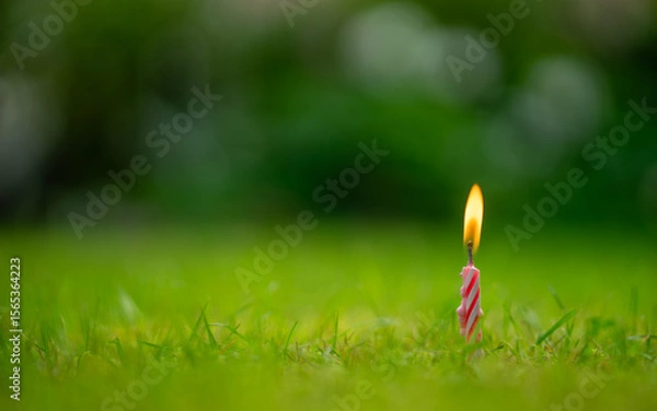 Fototapeta A burning candle stuck in the ground. A candle of memory.
