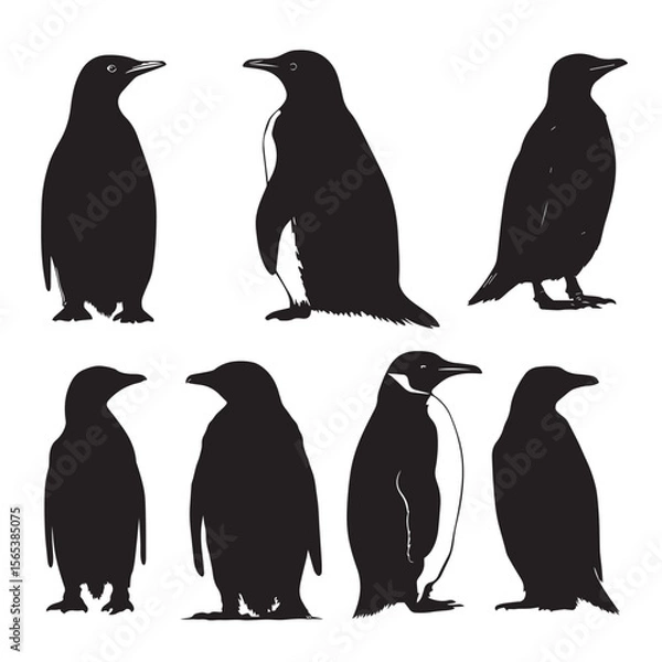 Obraz Set of Penguin silhouette vector on white background