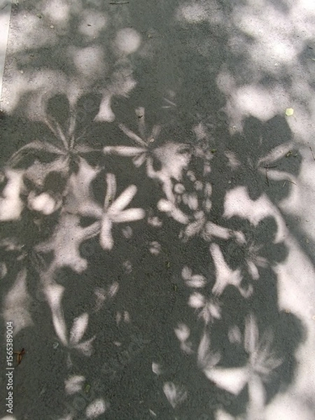 Obraz Shadows of chestnut leaves on asphalt