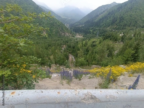Obraz Scenic View of a Mountain Valley with Lush Greenery and Flowers