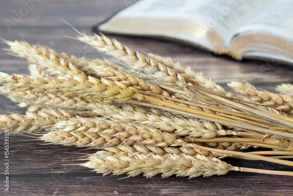 Obraz Ripe wheat ears with open holy bible book in the background. Close-up. Christian biblical concept.