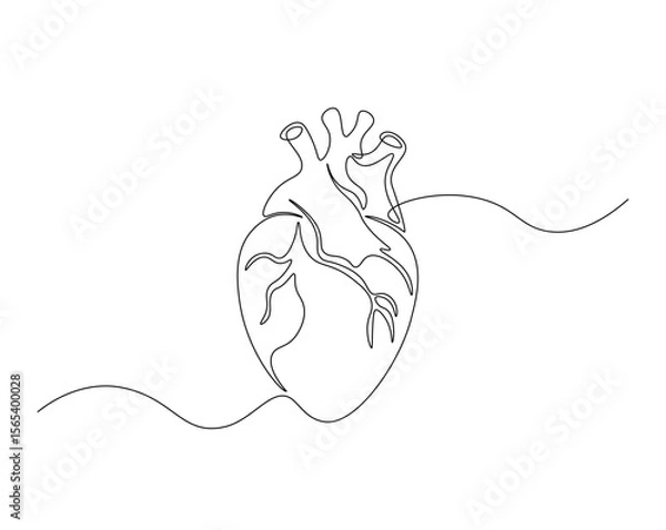 Fototapeta Heart, human organ outline illustration. Continuous line drawing of human heart. Health concept.