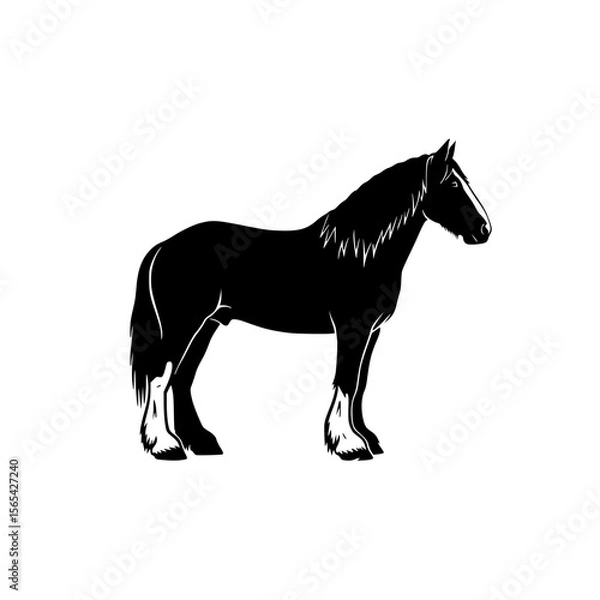 Obraz Majestic Shire Horse Silhouette Standing Proudly in a Field Ready for a Royal Parade