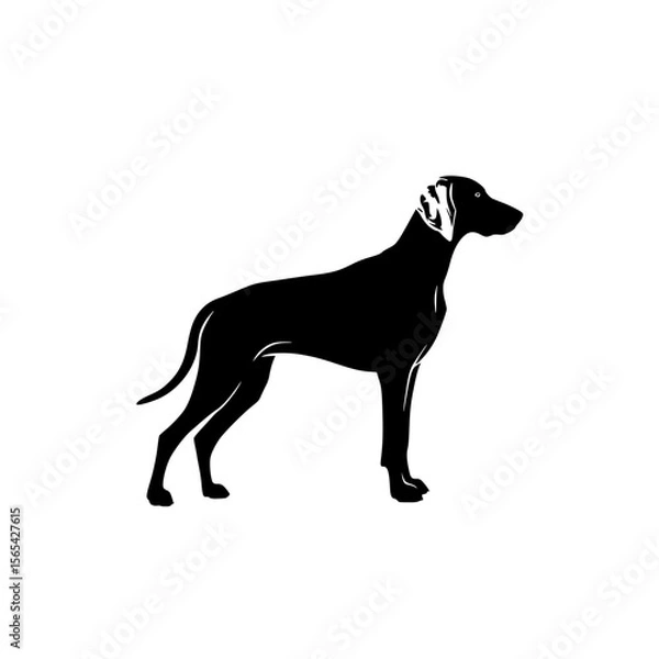 Obraz Elegant Pointer Dog Silhouette Standing Proudly Against a White Background