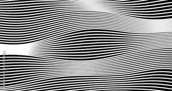 Fototapeta horizon Abstract smooth wave lines Black and white design Vector illustration