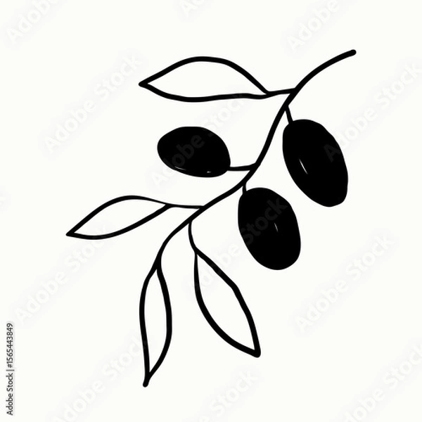 Obraz Olive branch plant ink sketch on isolated background. Minimalistic sketch logo for virgin oil, Italian Greek food ingredient, cosmetic in line art style. Vector illustration, design element for label