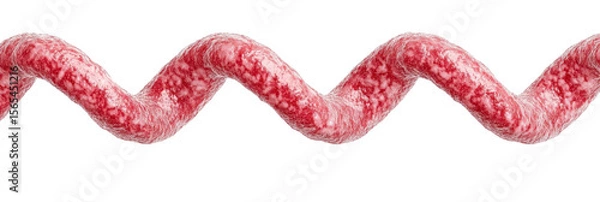 Fototapeta Wavy Red Textured Ribbon or Striped Band on Transparent Background for Various Creative Projects and Designs