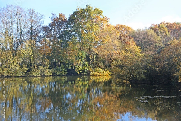 Fototapeta Lake in Decoy Country Park, Devon in Autumn	