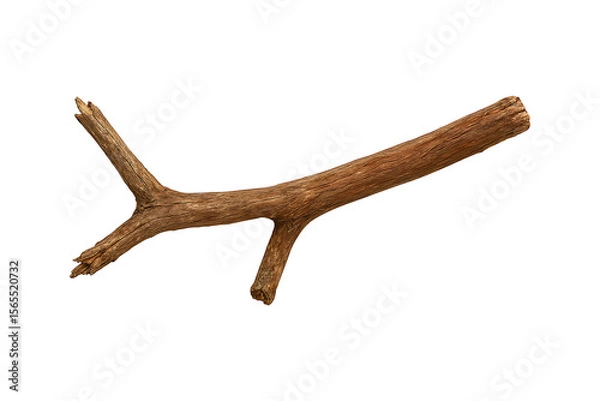 Fototapeta Weathered Tree Branch on White Background – Rustic Natural Decor