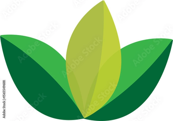 Obraz green leaf isolated on white