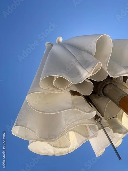 Obraz  beach Umbrella 