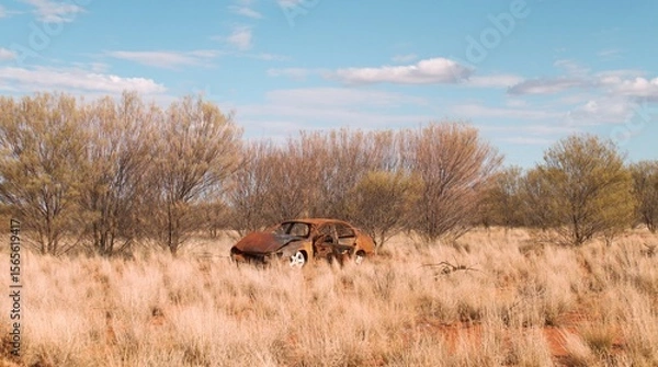 Obraz car in the field