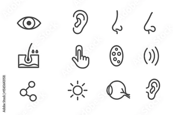 Fototapeta Icon set representing human senses and functions with black background