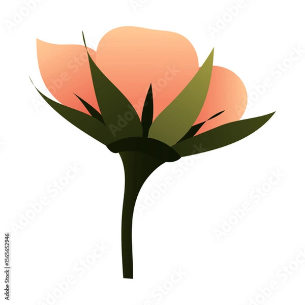 Obraz Simple cute light pink flower. Vector illustration isolated on white background.