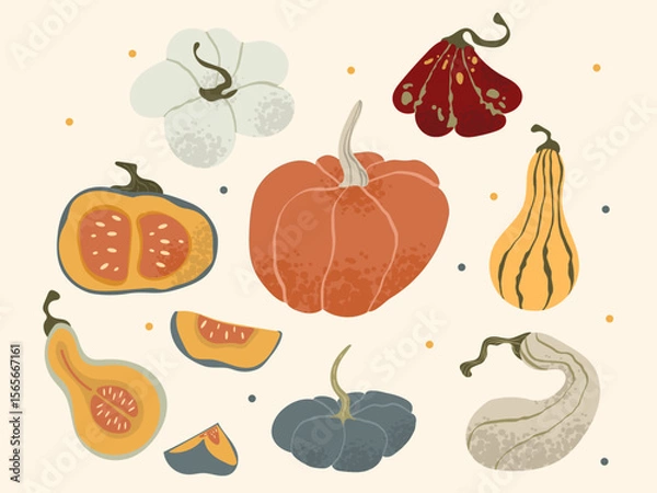 Fototapeta Brightly colored pumpkins set, a variety of shapes and sizes. This collection embodies the essence of the fall harvest and seasonal celebrations.