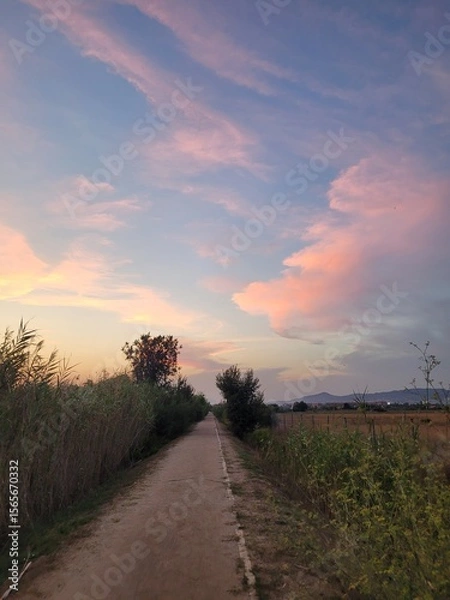 Fototapeta Scenic countryside landscape during sunset. The image captures the warm tones of the setting sun over natural fields, creating a peaceful and serene rural atmosphere, perfect for themes of nature
