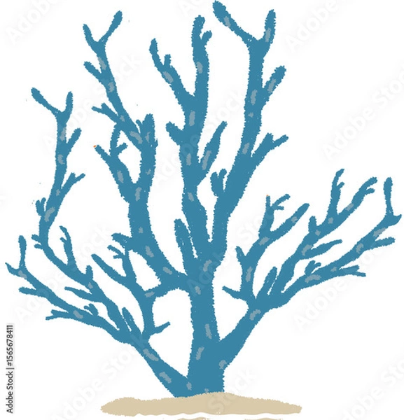 Obraz 산호 산호초 바다