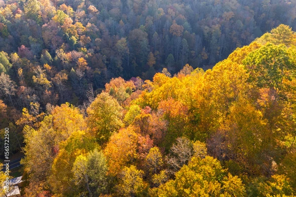 Fototapeta Autumn woods of Appalachian mountains at sunset with yellow and orange canopies in colorful forest. Landscape of wild nature in fall season
