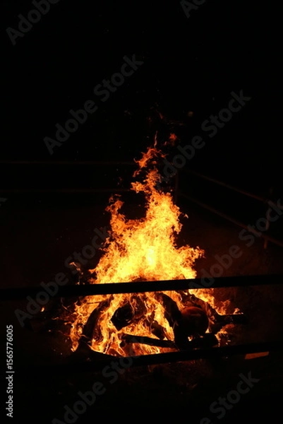 Obraz 闇夜の炎舞