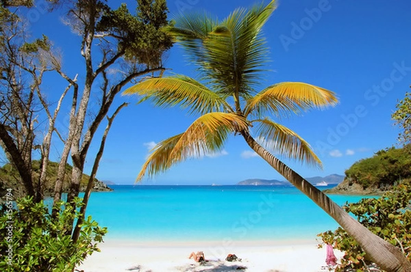 Obraz wnęka bagażnika