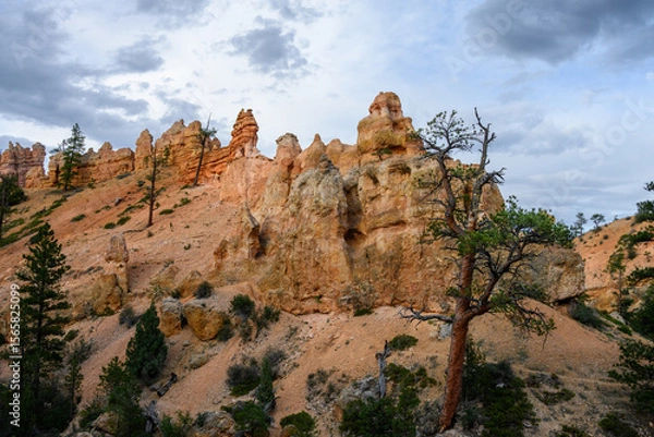 Obraz Scenic ridgeline at twilight with beautiful orange rock formations and ponderosa pine trees, Mossy Cave Trail, Bryce Canyon National Park, Utah
