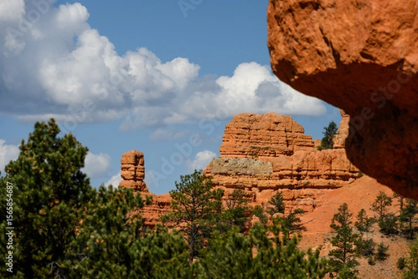 Obraz Orange rock hoodoo against a sunny blue sky with puffy white clouds and ponderosa pine trees in the Red Canyon recreation area in the Dixie National Forest, Utah
