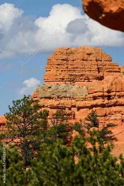 Obraz Orange rock hoodoo against a sunny blue sky with puffy white clouds and ponderosa pine trees in the Red Canyon recreation area in the Dixie National Forest, Utah

