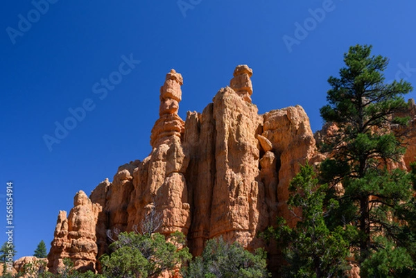 Obraz Orange rock hoodoo against a sunny blue sky and ponderosa pine trees in the Red Canyon recreation area in the Dixie National Forest, Utah
