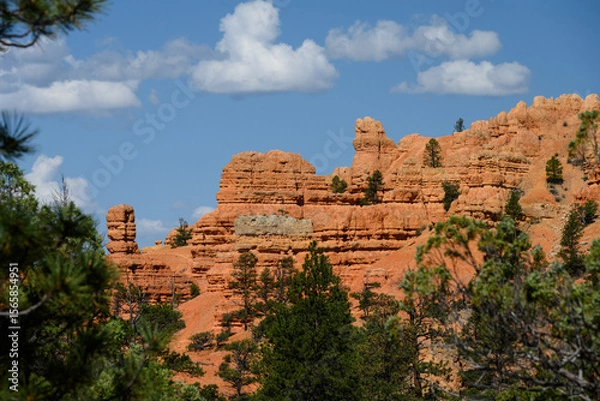 Obraz Orange rock hoodoo against a sunny blue sky with puffy white clouds and ponderosa pine trees in the Red Canyon recreation area in the Dixie National Forest, Utah
