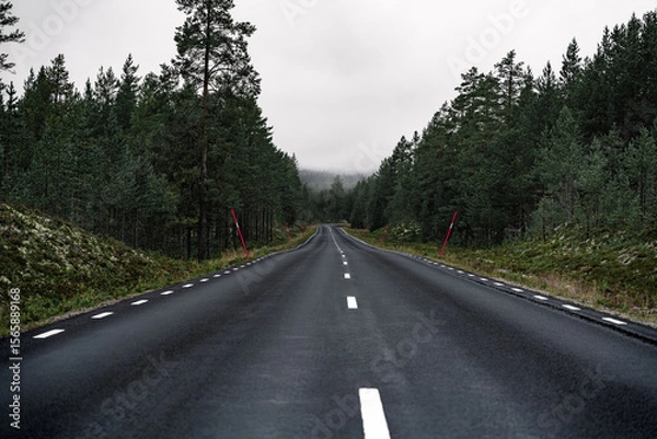 Fototapeta Foggy wet empty road winds through a dense forest in Dalarna, Sweden. Red snow pole markers line the roadside, indicating the edge in this serene Nordic landscape