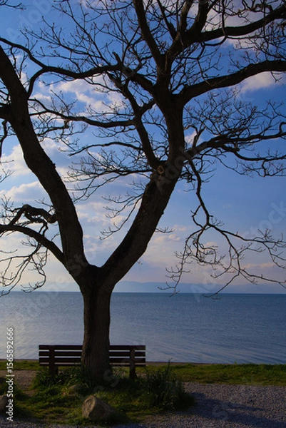 Obraz 琵琶湖 あのベンチ