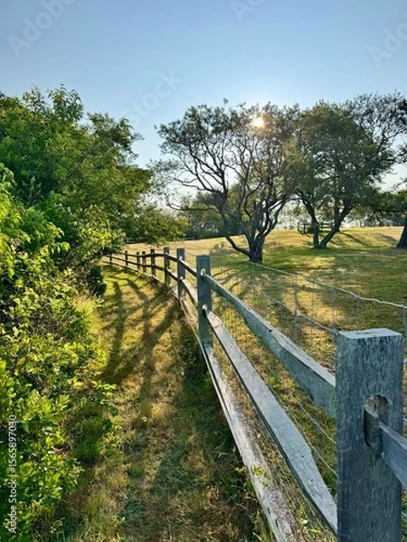 Fototapeta Sunlight filtering through trees along a rustic fence line