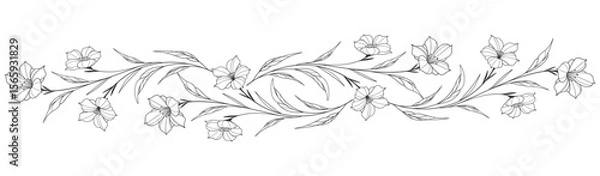 Fototapeta Sketch Floral Botany Collection. flower drawings. Black and white with line art on white backgrounds. Hand Drawn Botanical Illustrations. Vector eps