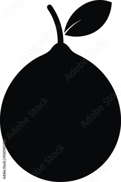 Fototapeta Pomelo minimal clean design silhouette vector art illustration