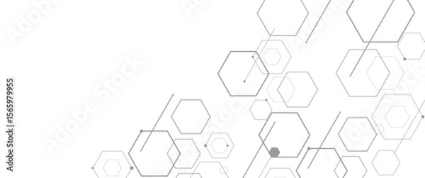 Fototapeta Vector geometric hexagons shape digital technology concept background 