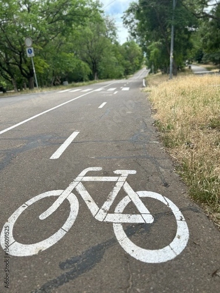 Fototapeta Bicycle lane on a scenic road surrounded by trees, located along the Health Route Trasa Zdorovia in Odesa, Ukraine. The bike path is marked with a white bicycle symbol and stretches into the distance