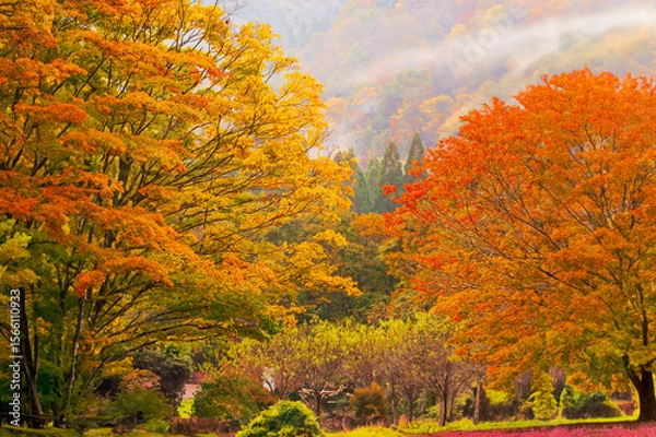 Obraz 秋田県の抱き返り渓谷の秋景色
