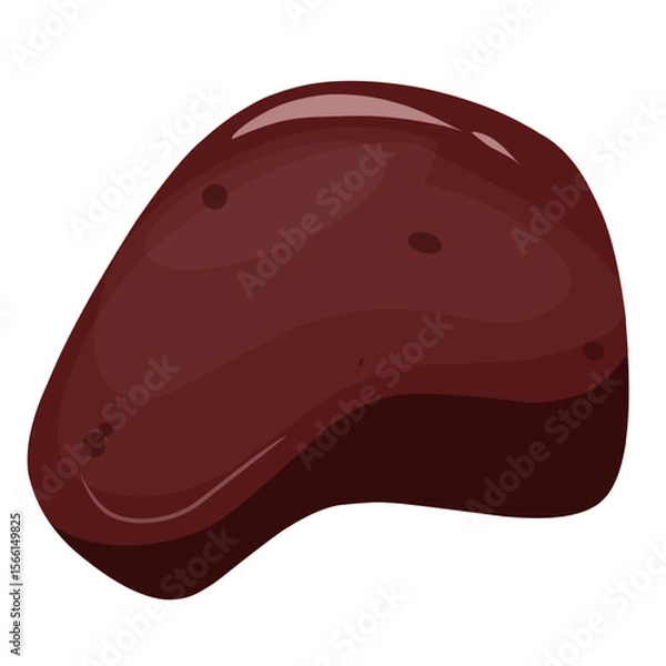 Obraz Beef liver illustration,vector beef cut