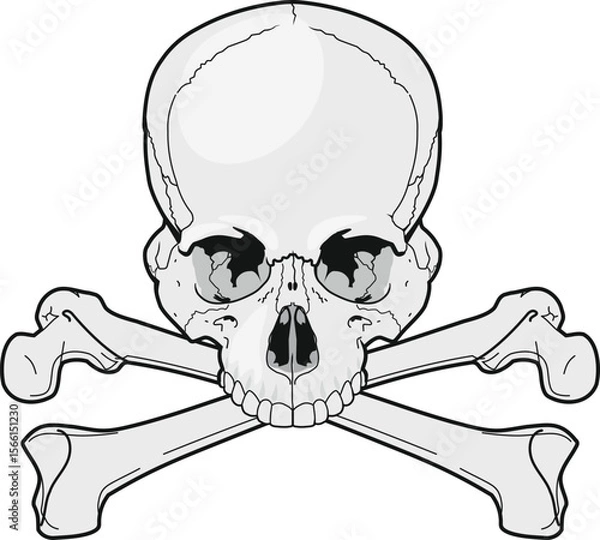 Fototapeta pirate symbol skull with crossbones isolated on white background