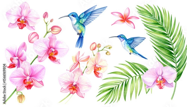 Fototapeta Floral background with hummingbirds in summer on white background.