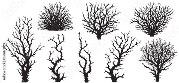 Fototapeta silhouette leafless desert shrub with dry branches set. vector