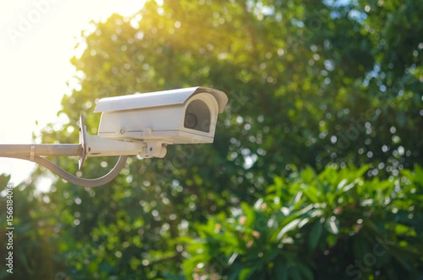 Fototapeta CCTV security camera on green tree background. Security camera in garden.