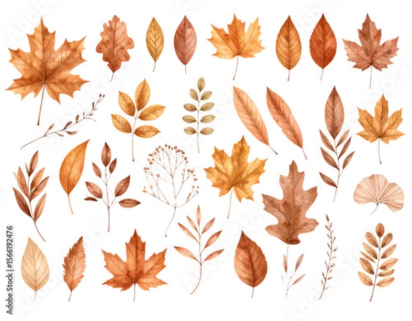 Fototapeta Various autumn leaves isolated on white background.
