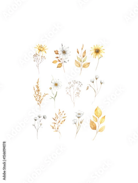 Fototapeta Various leaves with flowers, isolated on white background.